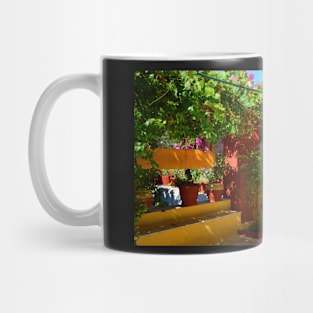 Inside the Monastery of Paleokastritsa. Island of Corfu, Greece Mug